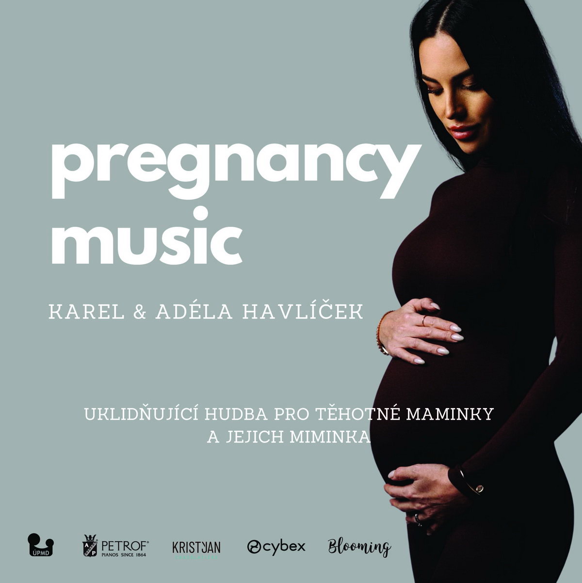 Vychází nová deska hudebníka Karla Havlíčka – Pregnancy Music