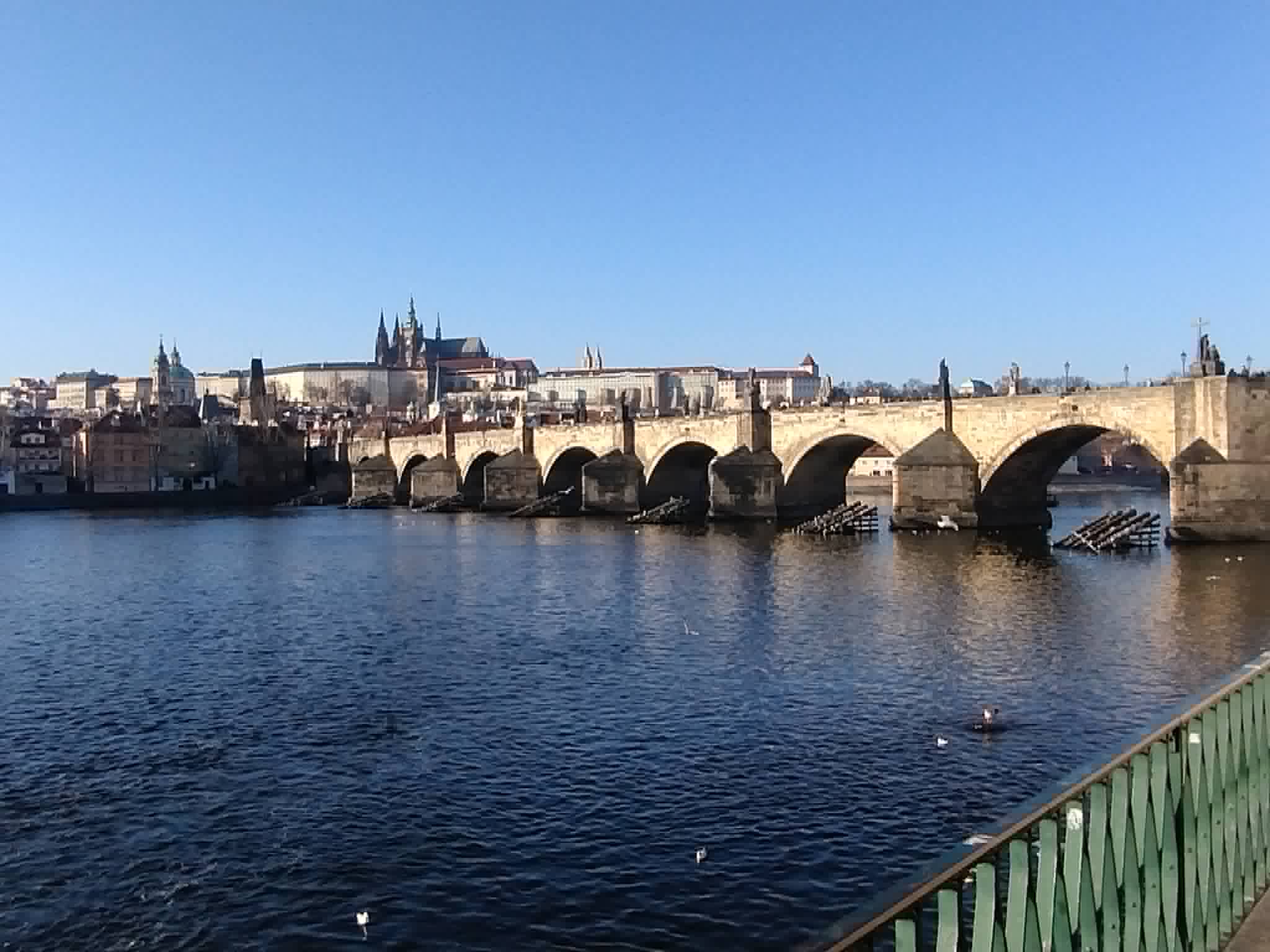První koncert festivalu Viva Musica Prague! už za pár dní: Janoska Ensemble představí Vivaldiho Čtvero ročních dob
