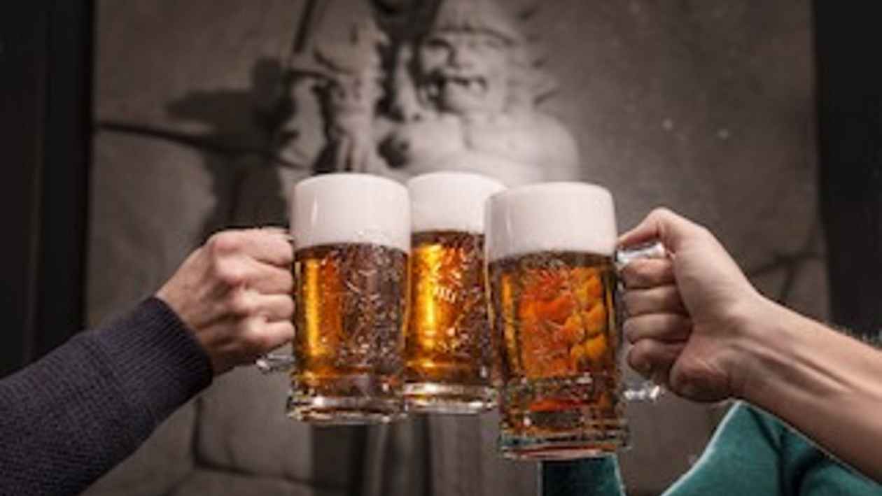 Pivovar Radegast změřil svou vodní stopu od semínka po sklenici. Na litr piva je potřeba stejně vody jako na půl deci mléka nebo deset deka brambor