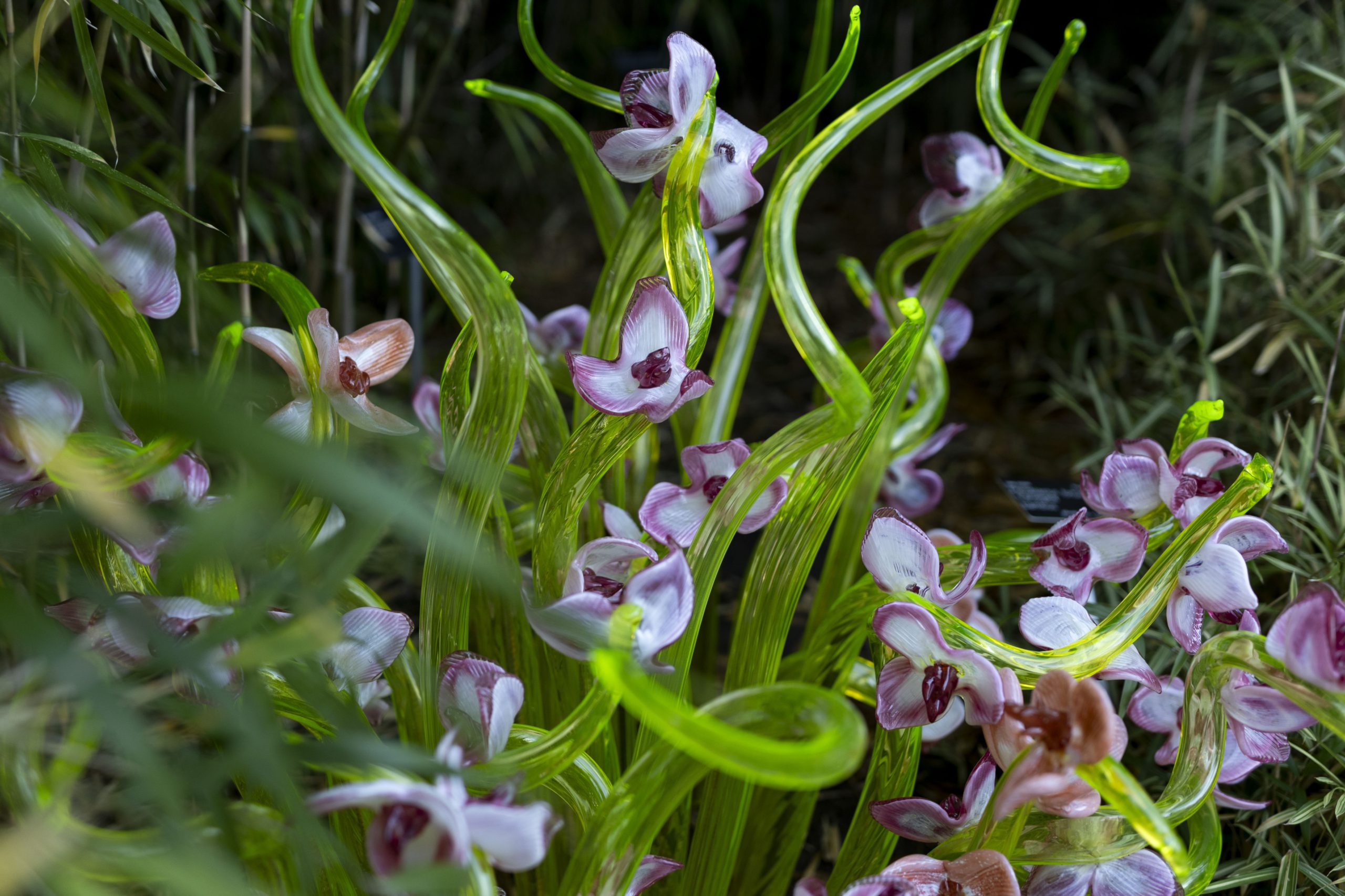 Křišťálová zahrada v Troji se otevře už tento týden. Návštěvníky čeká magická hra skla, světel a hudby