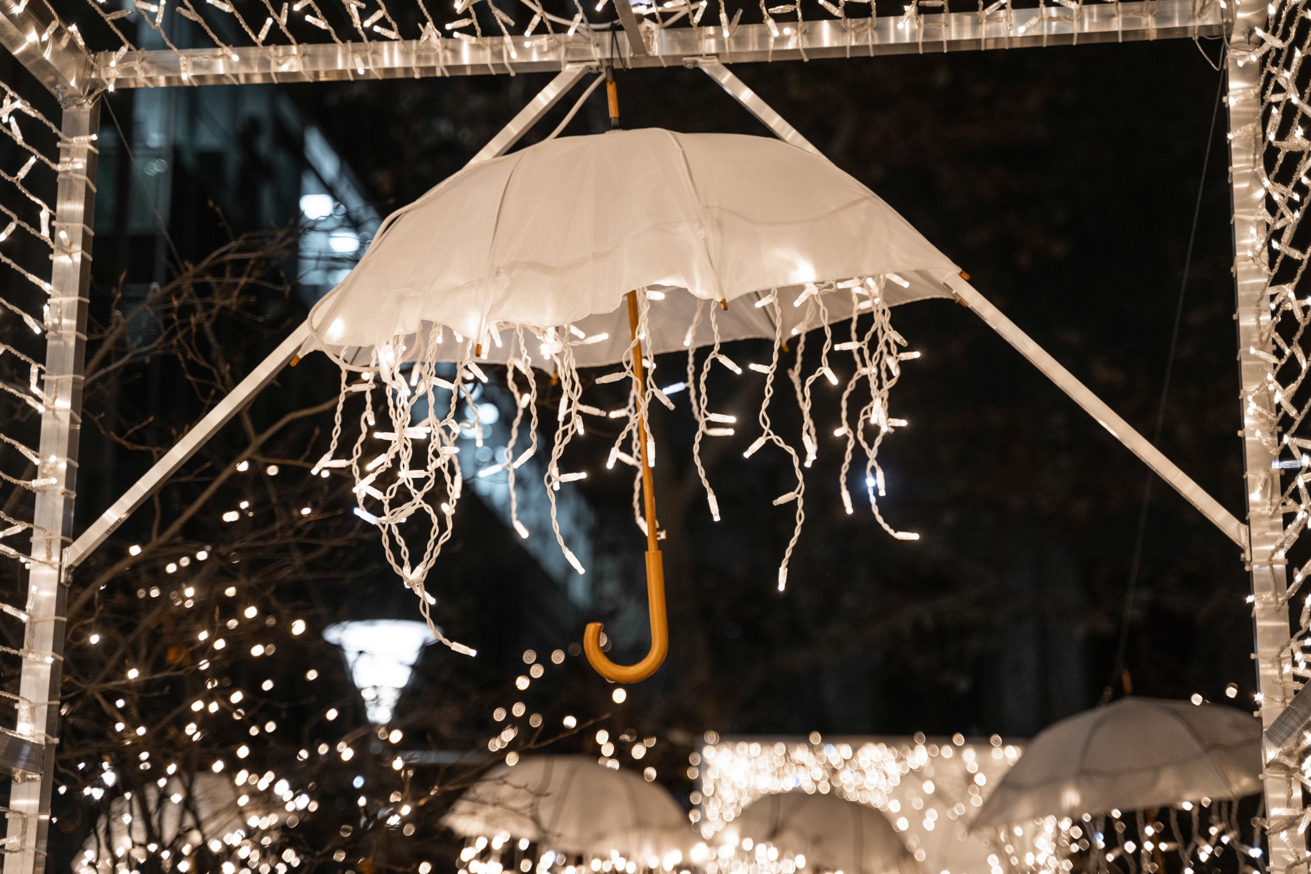 Když Vánoce roztáhnou křídla: zahrada Slovanského domu opět patří mezi nejkouzelnější místa v Praze