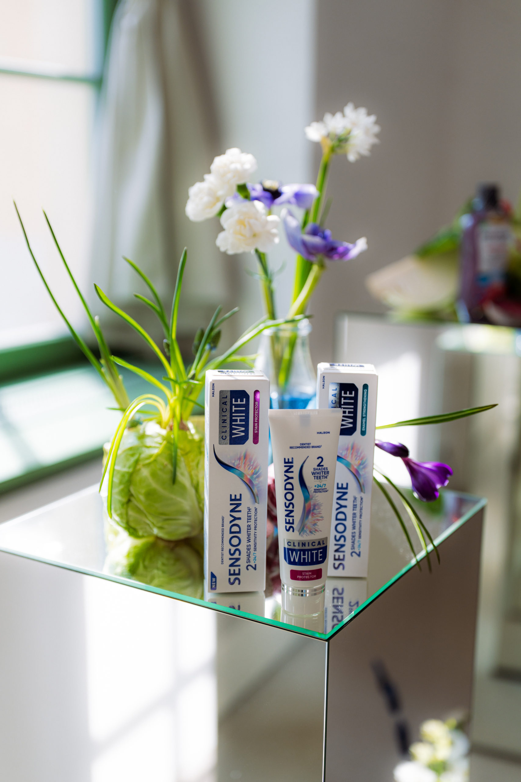 Haleon slaví Světový den ústního zdraví kampaní „Váš denní rituál pro zdravý úsměv“