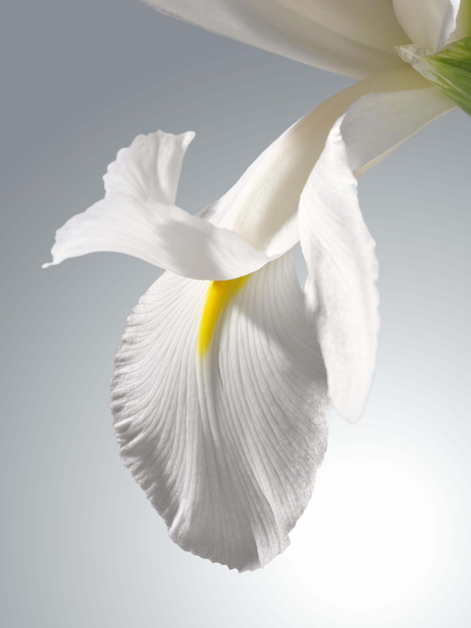 Artistry Labs™ Rozjasňující systém: nový přístup k  péči o pleť